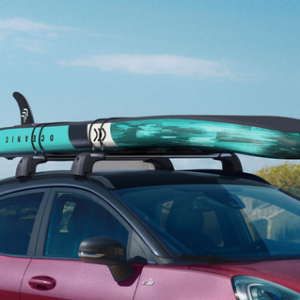 Strešni nosilci za vozila s strešnimi nosilci